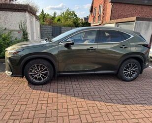Lexus NX 350h Gebrauchtwagen