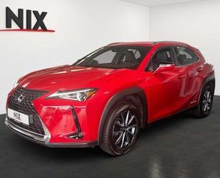 Lexus UX Gebrauchtwagen