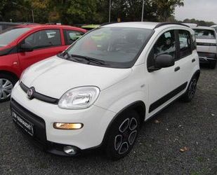 Fiat Panda Gebrauchtwagen