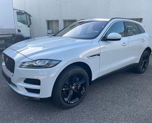 Jaguar F-Pace Gebrauchtwagen