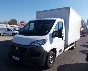 Fiat Ducato Gebrauchtwagen