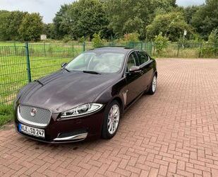 Jaguar XF Gebrauchtwagen