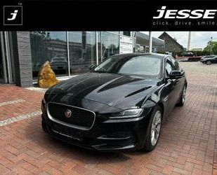 Jaguar XE Gebrauchtwagen