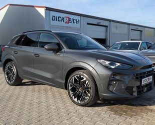 Cupra Terramar Gebrauchtwagen