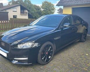 Jaguar XF Gebrauchtwagen