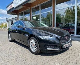 Jaguar XF Gebrauchtwagen
