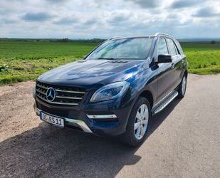 Mercedes-Benz ML 350 Gebrauchtwagen