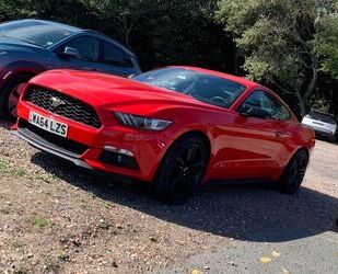 Ford Mustang Gebrauchtwagen