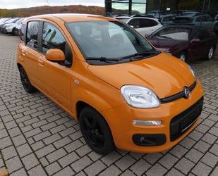 Fiat Panda Gebrauchtwagen