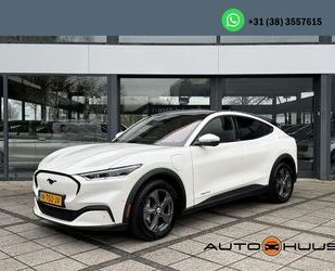 Ford Mustang Mach-E Gebrauchtwagen