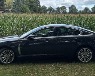 Jaguar XF Gebrauchtwagen