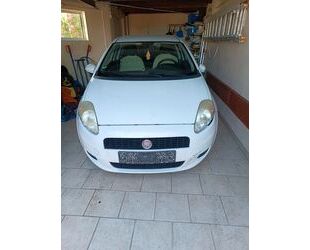 Fiat Punto Evo Gebrauchtwagen