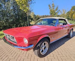 Ford Mustang Gebrauchtwagen
