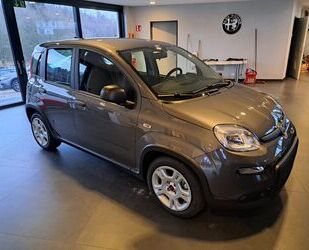 Fiat Panda Gebrauchtwagen