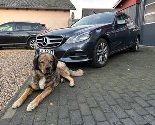 Mercedes-Benz E 300 Gebrauchtwagen