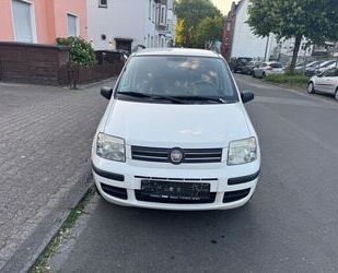 Fiat New Panda Gebrauchtwagen