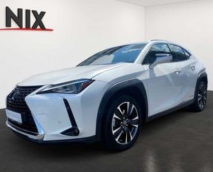 Lexus UX Gebrauchtwagen