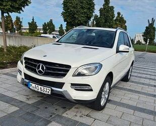 Mercedes-Benz ML 350 Gebrauchtwagen