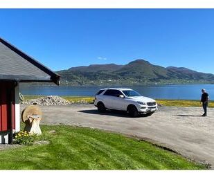 Mercedes-Benz ML 350 Gebrauchtwagen