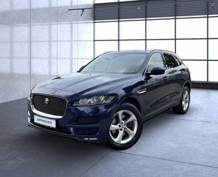 Jaguar F-Pace Gebrauchtwagen