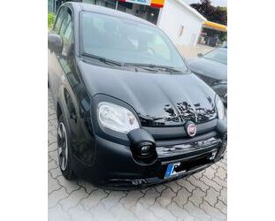 Fiat Panda Gebrauchtwagen