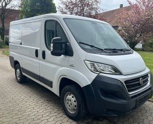 Fiat Ducato Gebrauchtwagen