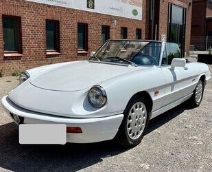 Alfa Romeo Spider Gebrauchtwagen