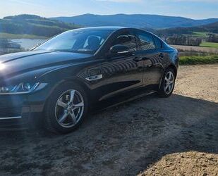 Jaguar XE Gebrauchtwagen