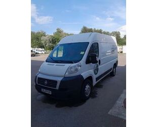 Fiat Ducato Gebrauchtwagen