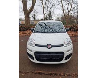 Fiat New Panda Gebrauchtwagen
