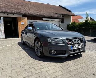 Audi S5 Gebrauchtwagen