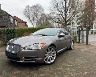 Jaguar XF Gebrauchtwagen