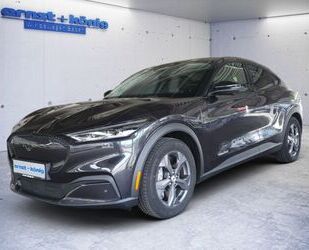 Ford Mustang Mach-E Gebrauchtwagen