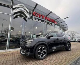 Citroen C5 Aircross Gebrauchtwagen
