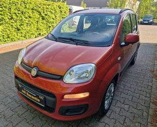 Fiat Panda Gebrauchtwagen