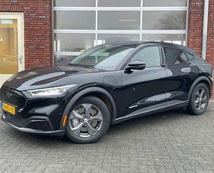 Ford Mustang Mach-E Gebrauchtwagen