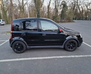 Fiat Panda Gebrauchtwagen