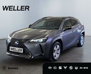 Lexus UX Gebrauchtwagen