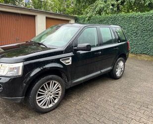 Land Rover Freelander Gebrauchtwagen