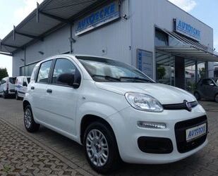 Fiat Panda Gebrauchtwagen