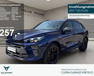 Cupra Terramar Gebrauchtwagen