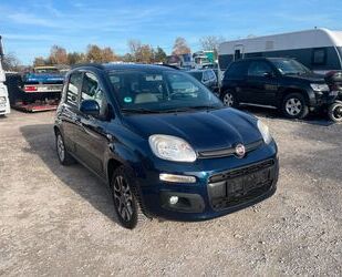 Fiat Panda Gebrauchtwagen