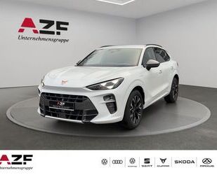 Cupra Terramar Gebrauchtwagen