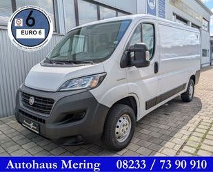 Fiat Ducato Gebrauchtwagen