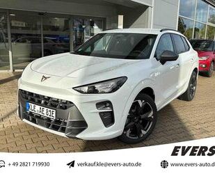 Cupra Terramar Gebrauchtwagen