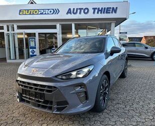 Cupra Terramar Gebrauchtwagen