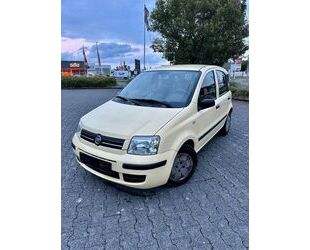 Fiat Panda Gebrauchtwagen