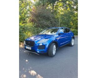 Jaguar E-Pace Gebrauchtwagen
