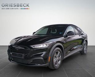 Ford Mustang Mach-E Gebrauchtwagen