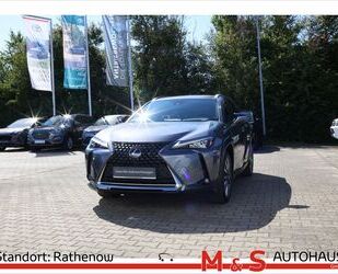 Lexus UX Gebrauchtwagen